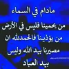 saidchouiekh