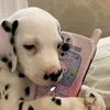 bih..sbica