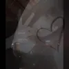nhimyeu004