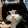 shiela_abrigo