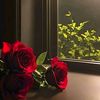 saad39629033