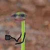 ned.lambert8