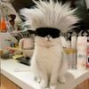 kucing.basis