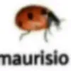 lamaurisio