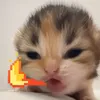 .kunkuzi929