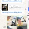 saimamirza76