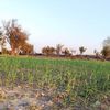 imtiaz.ahmad3050
