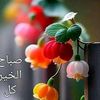 user6118377509953