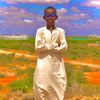 aminyareyamal0