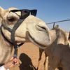 mohammed.ali8268
