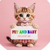 Pet and Baby😽