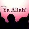 yarali.urey301