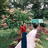 nyein53821