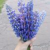 user1819061085724