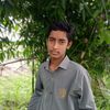 rob12329