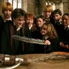 harrypottersadece
