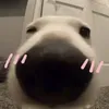 ngsuoiam_vuive