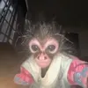 randomuser61711