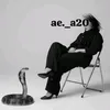 ae._a20
