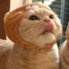 katy_2824