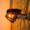 thais.742