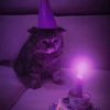 catman8360