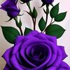akash.brahi