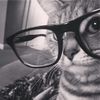 ay_sima078
