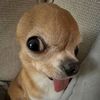 user020263385