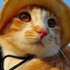 catworldfrenzy