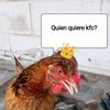 el.rey.de.los.vag4