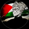 shadov2.1