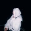esraa60387