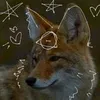 cammieonpaws