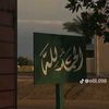palastine_555