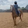 equestrian.xx
