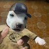 jimtothybeefington