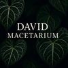 david.macetarium