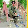 shahnawaz03463