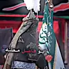 fa_3446