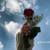 user61065520779628