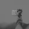 phng.trn3819