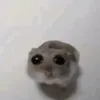 lamhuongnoiii