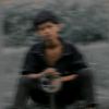 dleer_king