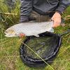 mattidk.fishing