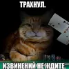 sleepik14