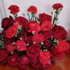 user5419518681127