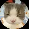 leinn_1210