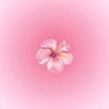 _cat.alina06