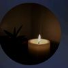 blackmoonlight42